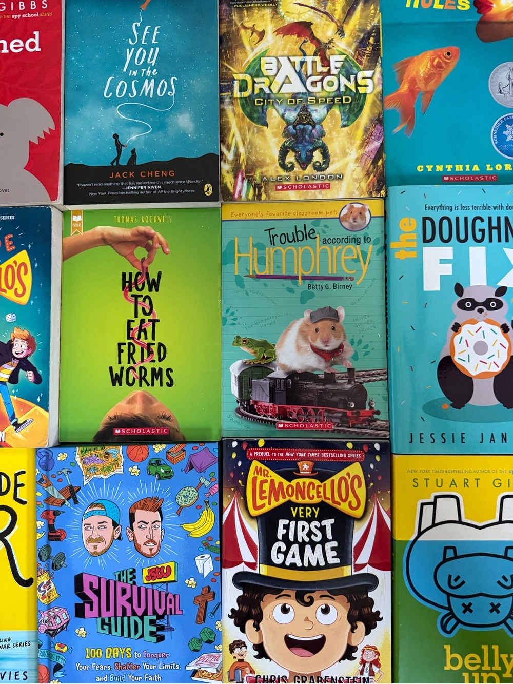 Book Mystery Box